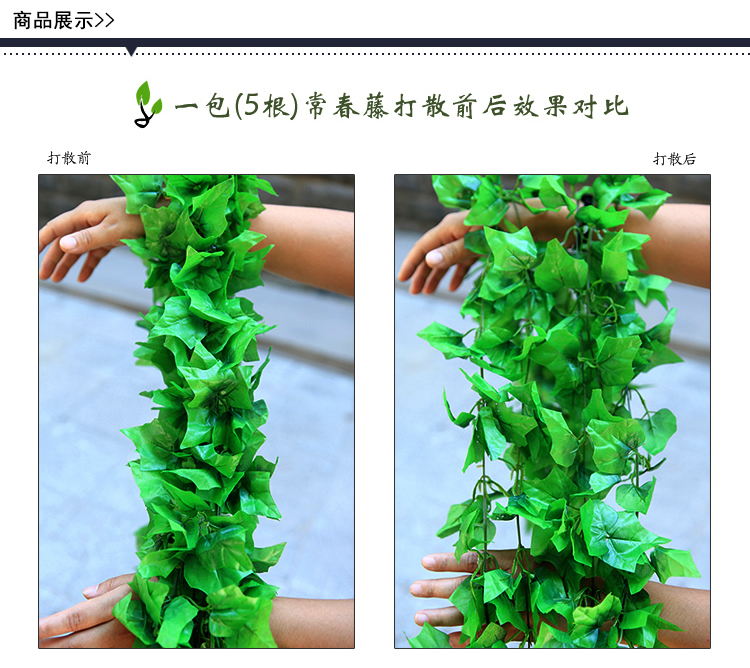 
                                        畅宁 花藤藤条【常春藤 常青藤】仿真花 装饰花藤条假花藤条家居阳台装饰 (普通常青藤2包(10根))                