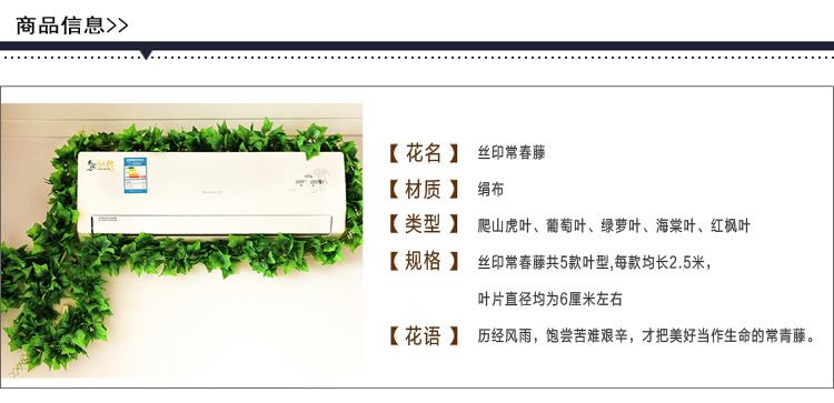 
                                        畅宁 花藤藤条【常春藤 常青藤】仿真花 装饰花藤条假花藤条家居阳台装饰 (普通常青藤2包(10根))                