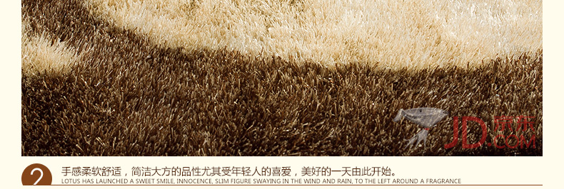 尼西米超柔南韩丝地毯 简约图案地毯 现代风格茶几垫 地毯 客厅易打理地毯 沙发地毯 1.4*2m