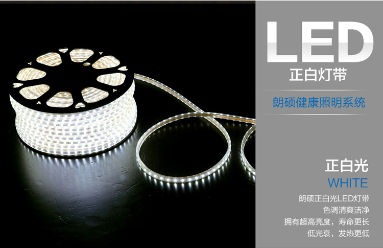 朗硕 LED贴片灯带SMD3528-60珠灯带背景灯220V暗槽灯软灯条 蓝