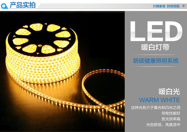朗硕 LED贴片灯带SMD3528-60珠灯带背景灯220V暗槽灯软灯条 蓝