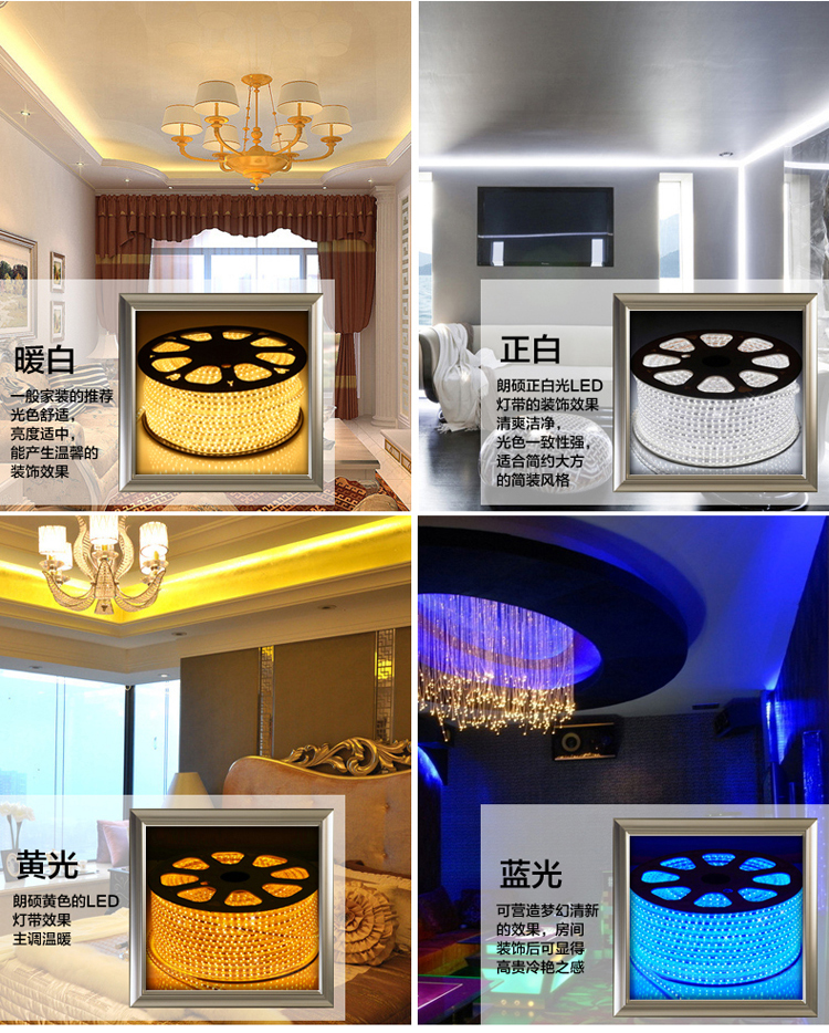 朗硕 LED贴片灯带SMD3528-60珠灯带背景灯220V暗槽灯软灯条 蓝