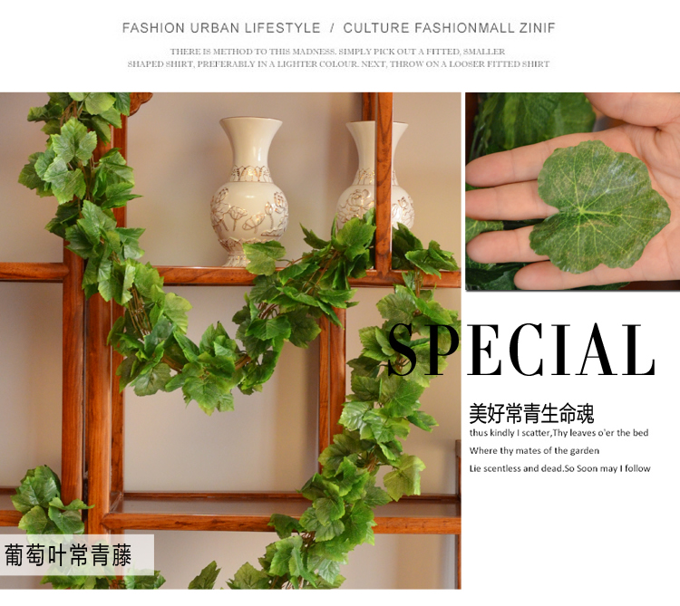 
                                        畅宁 花藤藤条【常春藤 常青藤】仿真花 装饰花藤条假花藤条家居阳台装饰 (普通常青藤2包(10根))                