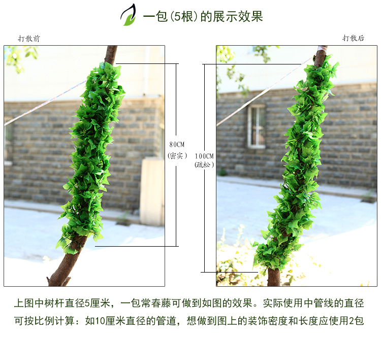 
                                        畅宁 花藤藤条【常春藤 常青藤】仿真花 装饰花藤条假花藤条家居阳台装饰 (普通常青藤2包(10根))                