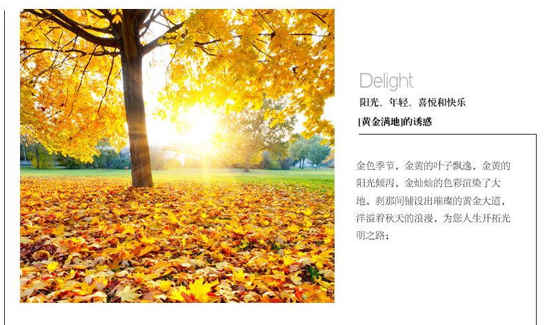 
                                                                                蒙娜丽莎十字绣黄金满地精准印花套件装新款客厅大幅画棉线丝线5D印花 棉线2米黄金满地加长款精准印花                