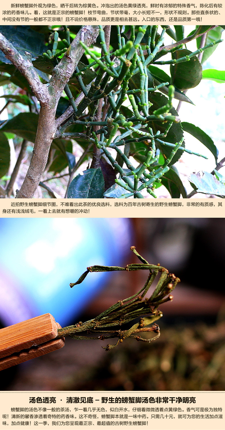 茗星号 普洱茶 2012早春 古树茶 野生螃蟹脚 70克/罐