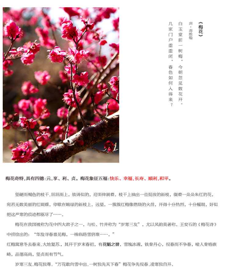 
                                        K-S十字绣客厅新款大幅精准印花客厅大画报春图紫气东来梅花十字绣 9CT棉线印花190*70                