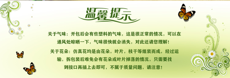 
                                        畅宁 花藤藤条【常春藤 常青藤】仿真花 装饰花藤条假花藤条家居阳台装饰 (普通常青藤2包(10根))                