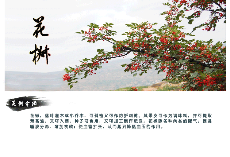 古松 花椒 四川花椒 花椒粒 100g/袋