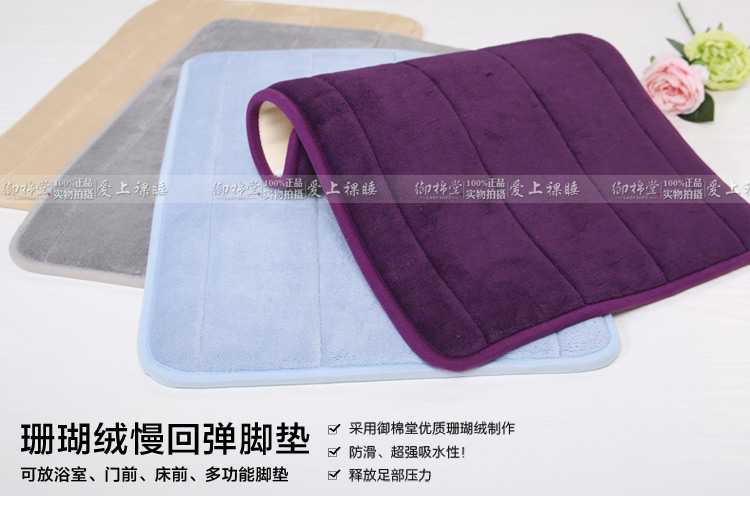 
                                        【御棉堂】浴室洗澡间防滑垫 慢回弹地垫 卫生间脚垫 进门垫 入户门垫子地毯 天蓝 43cmx60cm                