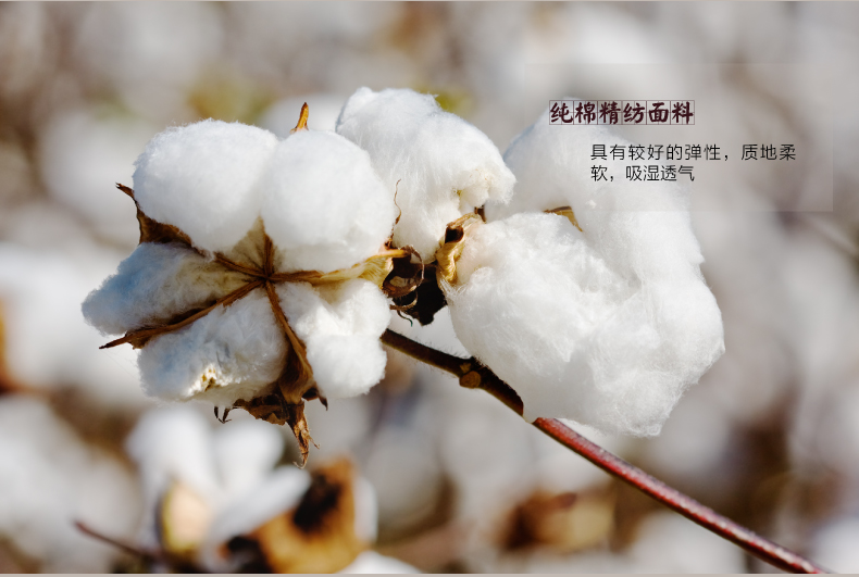 sufang全棉枕套纯棉长枕套 双人加厚枕头套1.2米 1.5米 贡缎净面 1.2米