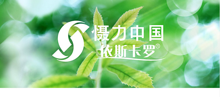 
                                        慑力(safestnet)伊斯卡罗二手烟克星SN221家庭汽车净烟宝去除二手烟味草本纯香 原生态 草本纯香                