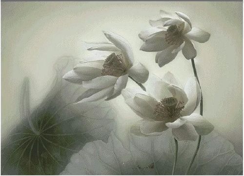 dmc 十字绣客厅挂画新款餐厅简单卧室花草十字绣风景正品专卖 -淡雅风荷 11CT 3股