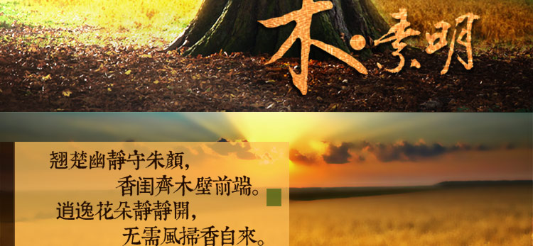 比月照明 中式复古实木壁灯卧室床头过道灯饰书房创意木皮工艺灯3226