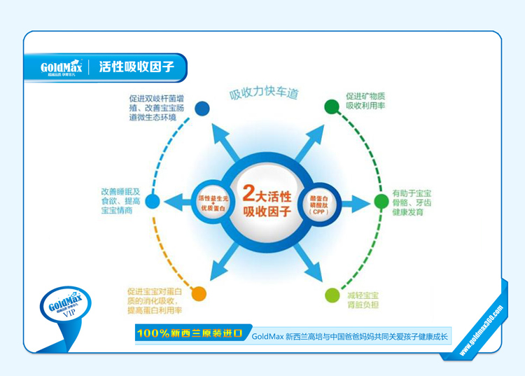 Goldmax高培 新西兰原装原盒进口 360°金装