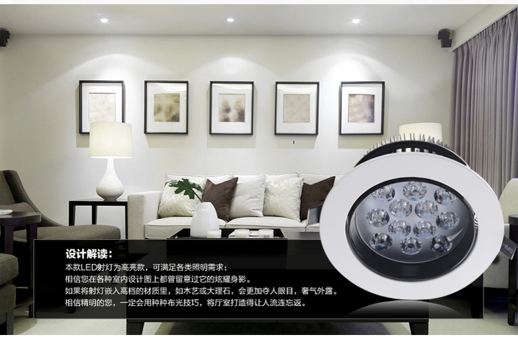 朗硕 led射灯360度旋转射灯筒灯过道灯玄关灯餐厅卧室灯12W灯具LS3033-12 暖光