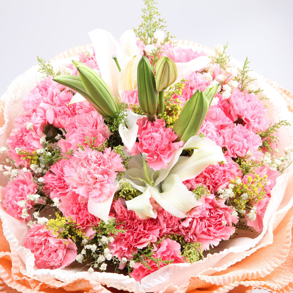 My Image 23