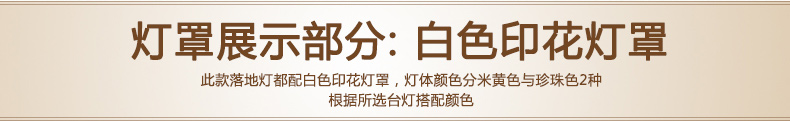 欧式落地灯 简约时尚落地灯饰 立式台灯 客厅卧室台灯必备 D01 D01珍珠色