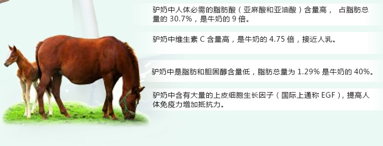 圣雪兰XSHOW 驴奶栀子花嫩肤面霜50ml 比利时乳香面霜保湿补水美白去黄在1号店的价格走势