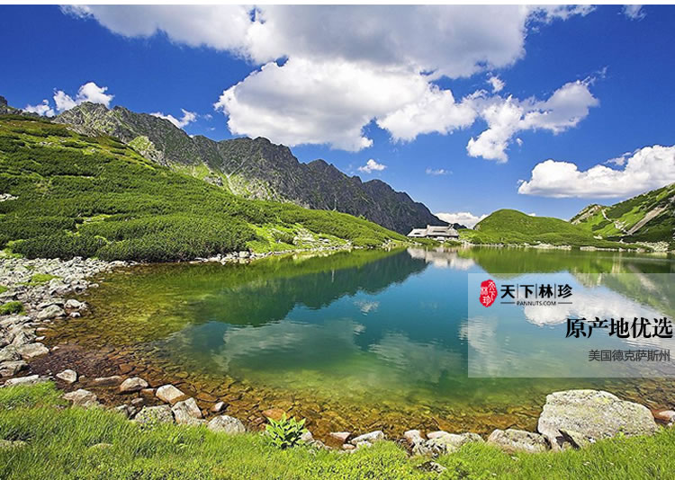 【天下林珍】碧根果 长寿果 美国山核桃 长生果