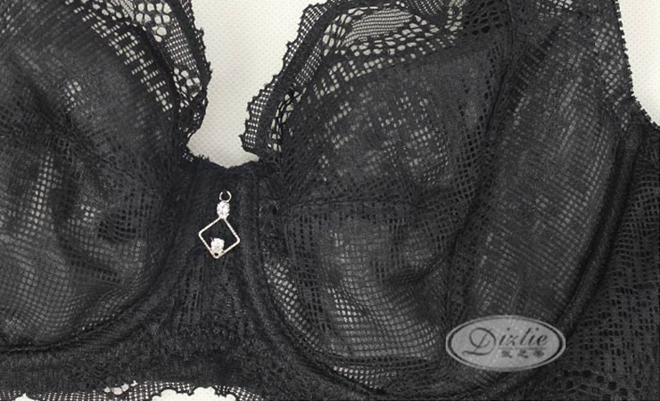 <em>戴芝蒂</em>(Diztie)C9123全罩杯<em>调整型</em>侧收大胸文