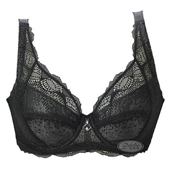 <em>戴芝蒂</em>(Diztie)C9123全罩杯<em>调整型</em>侧收大胸文