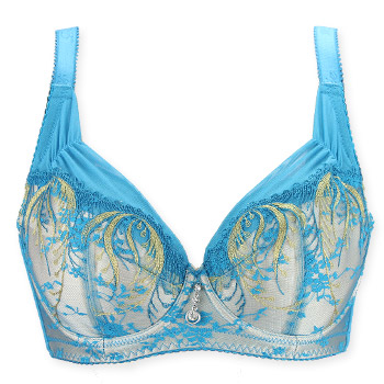 戴芝蒂(diztie)g98907全<em>罩杯</em>调整型<em>文胸</em>聚拢薄