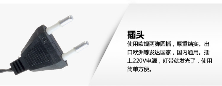 
                                        珍靓LED灯串满天星圣诞树节日生日婚庆彩色灯 普绿防水户外工程装饰 每串10米100灯 防水蓝色                