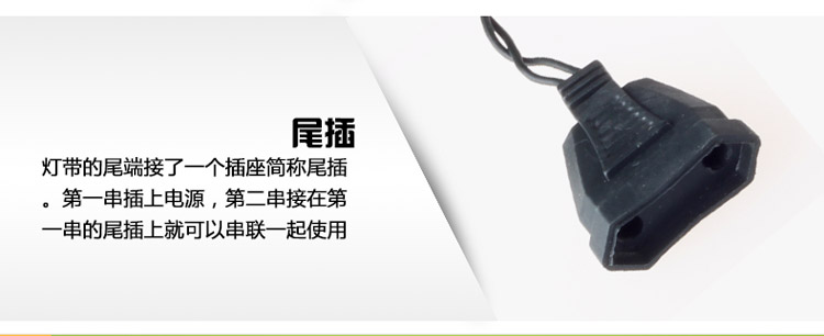 
                                        珍靓LED灯串满天星圣诞树节日生日婚庆彩色灯 普绿防水户外工程装饰 每串10米100灯 防水蓝色                