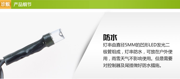 
                                        珍靓LED灯串满天星圣诞树节日生日婚庆彩色灯 普绿防水户外工程装饰 每串10米100灯 防水蓝色                