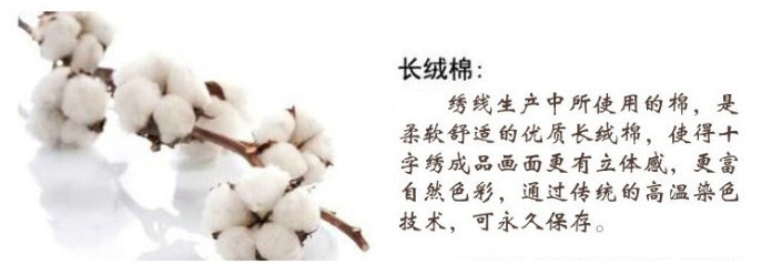 
                                        千思梦妍印花十字绣大展宏图全景老鹰旭日东升2米客厅大画大展鸿图                