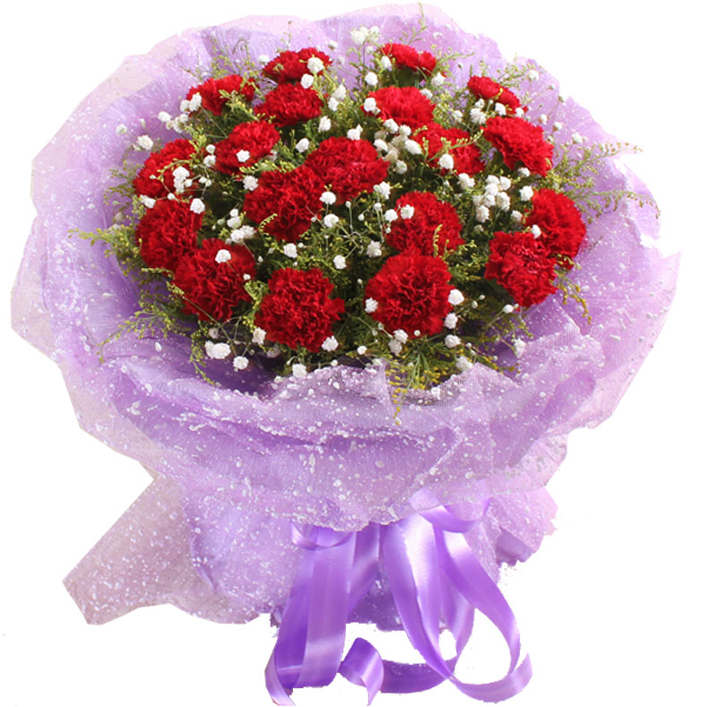 相思递鲜花速递19朵康乃馨母亲节教师节生日全国同城配送 19朵红色康乃馨粉色包装在京东商城的价格走势