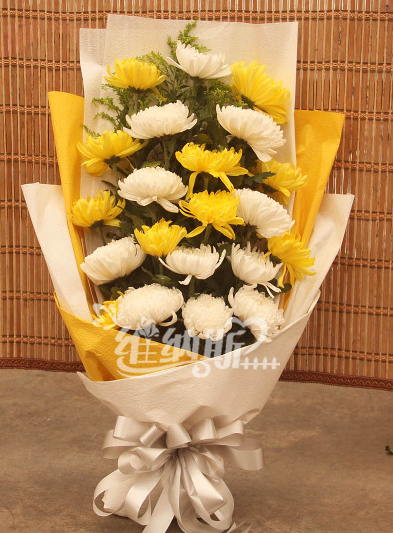 清明节鲜花 鲜花速递 扫墓花束 白菊花 黄菊花 祭奠 哀思 15朵白菊花2