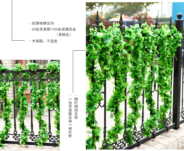 
                                        畅宁 花藤藤条【常春藤 常青藤】仿真花 装饰花藤条假花藤条家居阳台装饰 (普通常青藤2包(10根))                