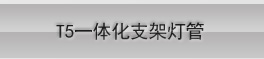 晶映LED灯管T5一体化led日光灯节能灯管高亮条形灯管灯带全套16W/1.2米白光 0.6m/5根套装 白光