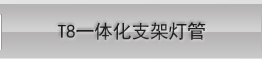 晶映LED灯管T5一体化led日光灯节能灯管高亮条形灯管灯带全套16W/1.2米白光 0.6m/5根套装 白光