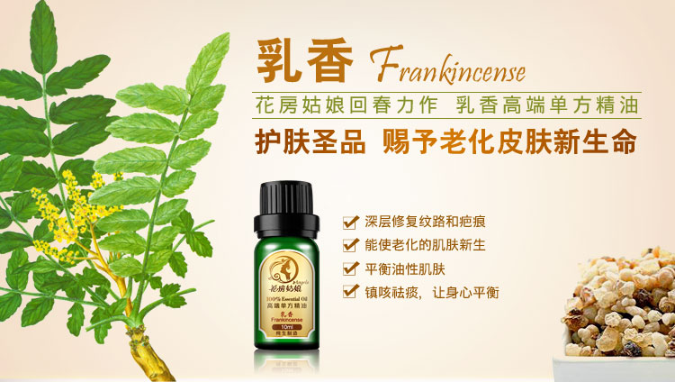 花房<em>姑娘乳香</em>单方精油10ml改善老化肌肤护肤