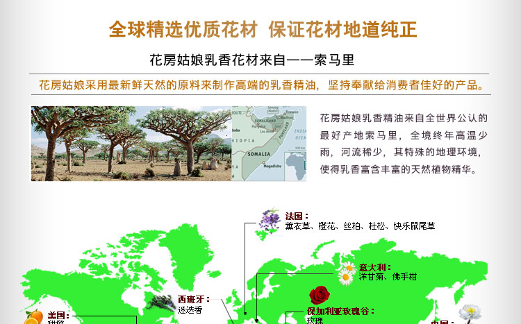 花房<em>姑娘乳香</em>单方精油10ml改善老化肌肤护肤