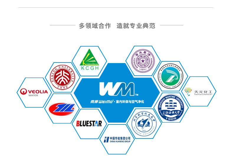 微摩特惠装净化炭 除甲醛真空免晒 清除苯吸味除臭活性炭包竹炭 新房装修车用光氧触媒 可检测
