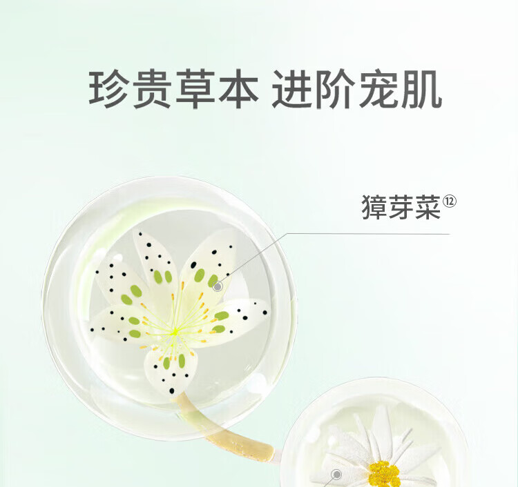 百雀羚 肌初赋活致臻套盒 淡化细纹抗皱提拉紧致套装 礼盒【水+乳+霜+精华+面膜2片】