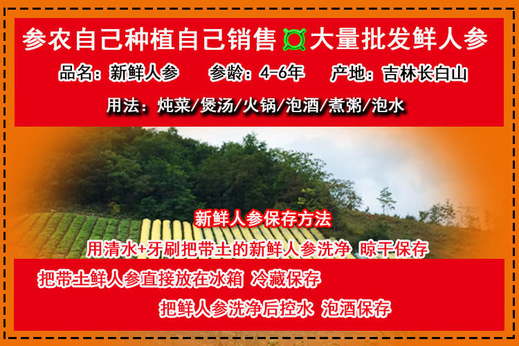 长白山带土新鲜人参泡酒保鲜园东北小人参煲汤参 10条 15条 250g 图片价格品牌报价 京东