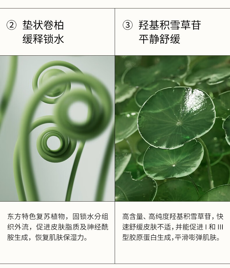蘭（LAN） LAN兰便当面膜 送女友保湿清洁泥膜自由组合涂抹面膜 55g电解质（补充装）