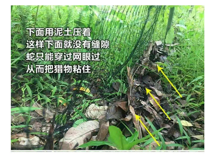 捕蛇网 蛇地网 户外尼龙网 防蛇网 加粗黑色 穿好引线
