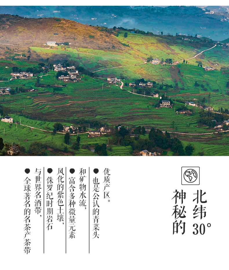 乌江海带丝鲜香味50g*10袋（2020年6月生产，保质期16个月）