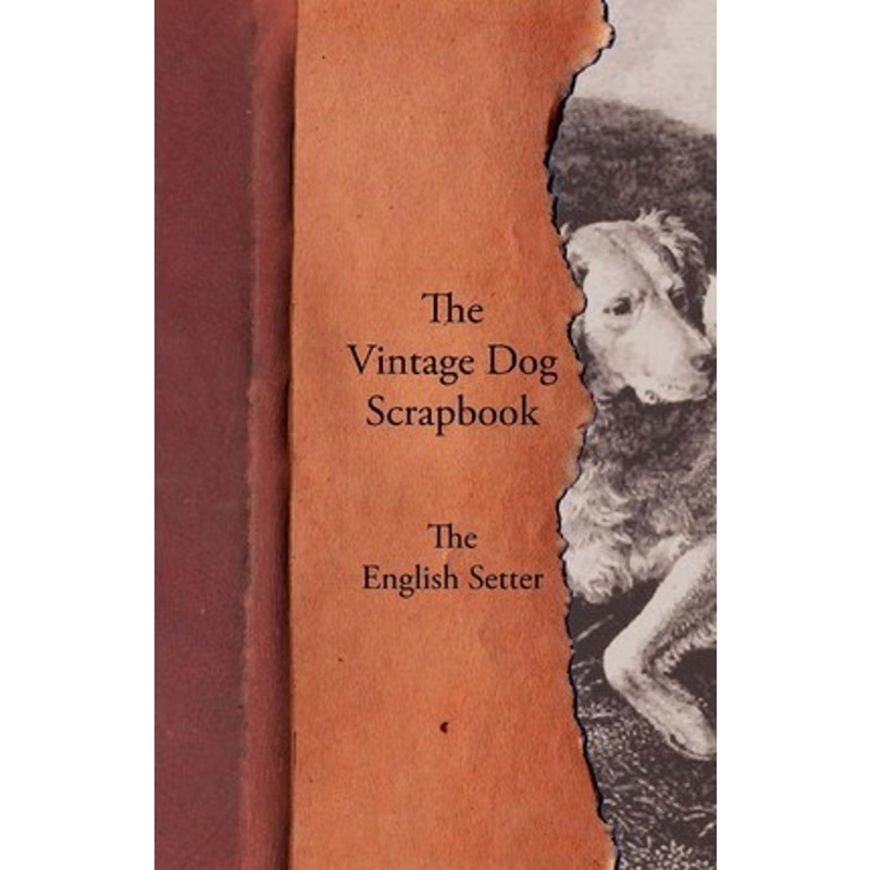 按需印刷The Vintage Dog Scrapbook - The English Setter[9781447428411]