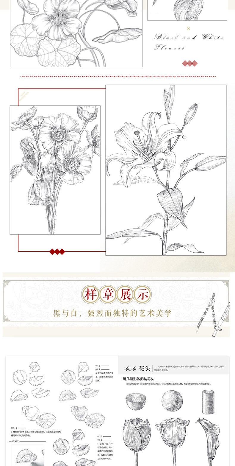 花卉形态与构造组合插画集线描画册临摹手绘入门线描画教程素描书速