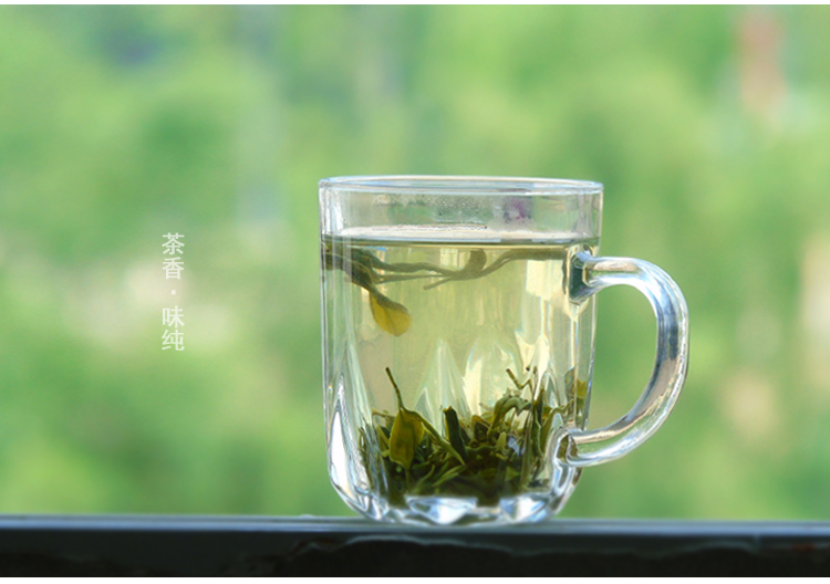 毛克翕2019新茶贵州雷公山清明茶高山绿茶春茶雷山浓香型茶叶特级