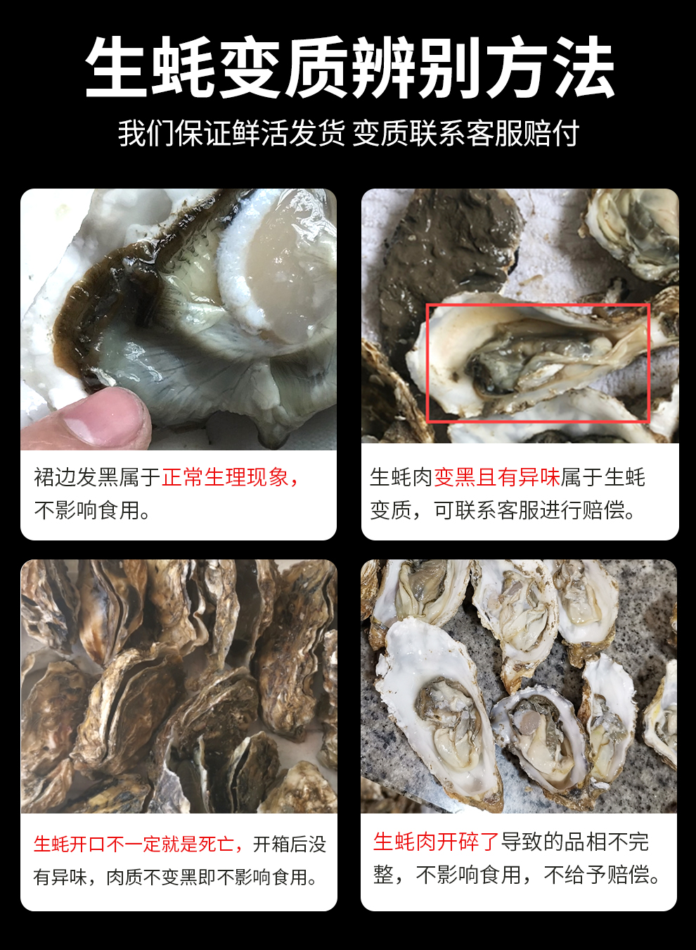 鲜活 蔬香客 乳山牡蛎生蚝海蛎子冷水蚝海鲜水产大号体肥多汁烧烤食材