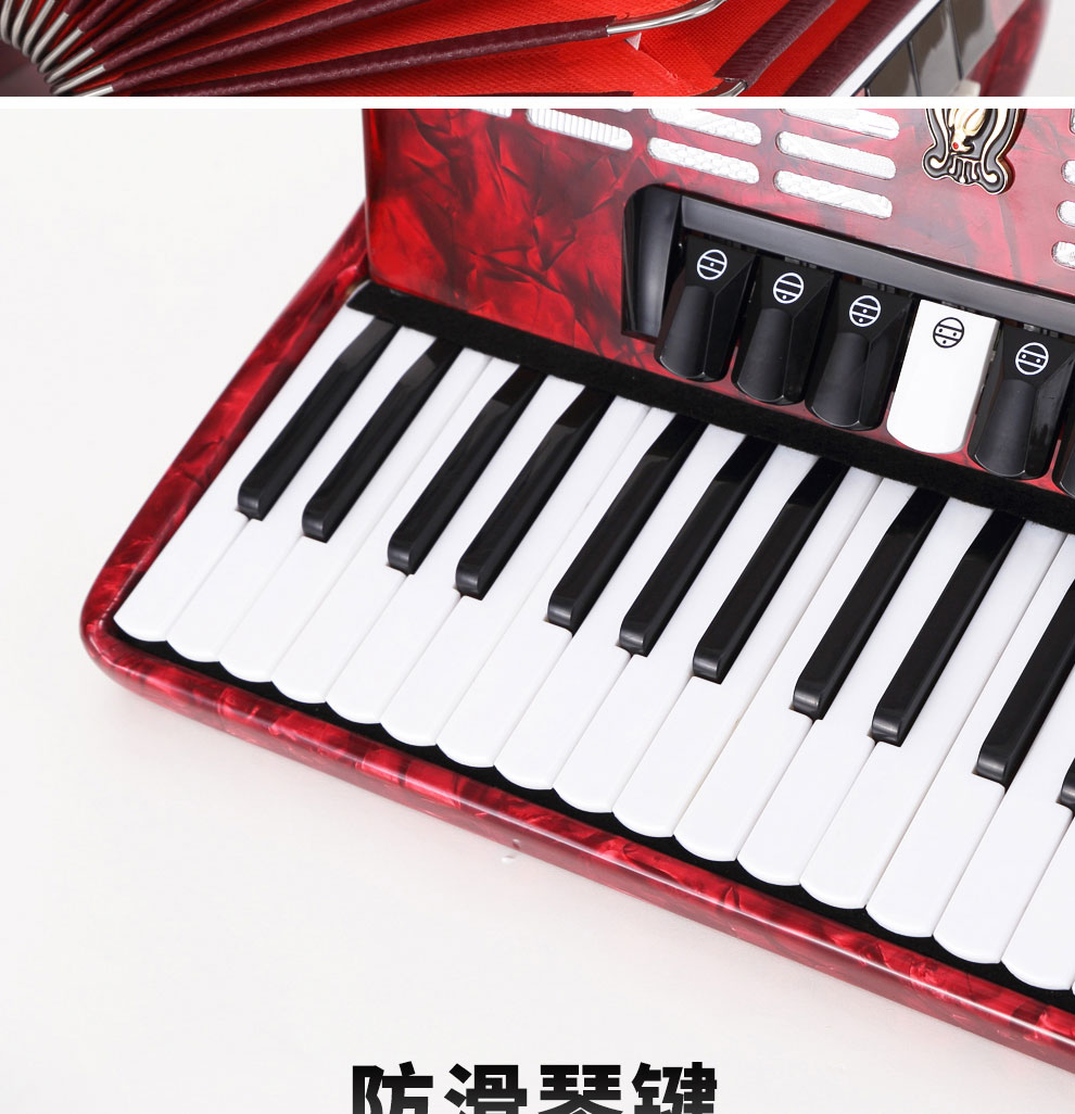 鹦鹉(yingwu) 鹦鹉牌96贝司斯手风琴三排簧键盘成人演奏儿童初学者