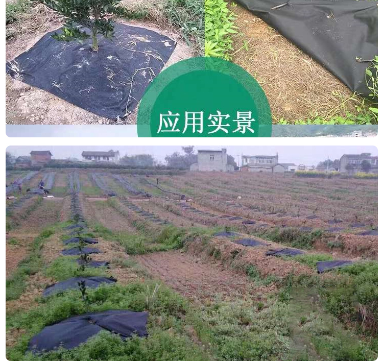 德骊嘉防草布除草布果园农用地布小树苗果树遮草布